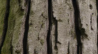 The Language of Texture: Adding Depth Through Etched Relief